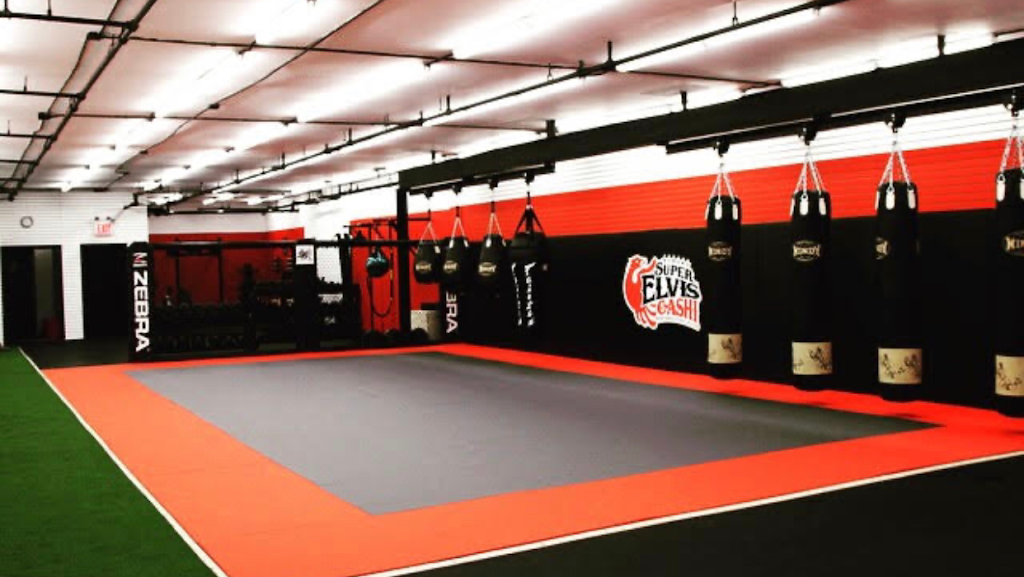 Arena Training Center | 675 E Lincoln Ave, Mt Vernon, NY 10552, USA | Phone: (914) 667-0858