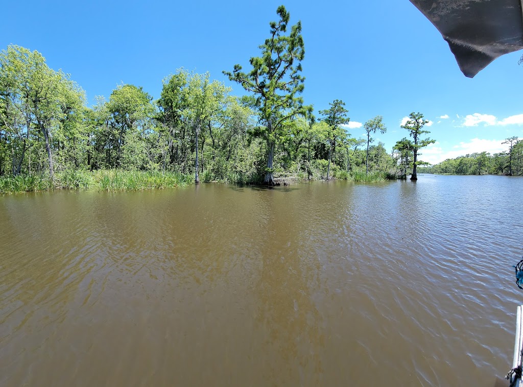 Zams Swamp Tour | 141 Kraemer Bayou Rd, Thibodaux, LA 70301, USA | Phone: (985) 633-7881