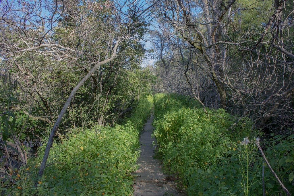 Lighthouse Point Provincial Nature Reserve | Pelee Island, ON N0R 1M0, Canada | Phone: (519) 825-4659