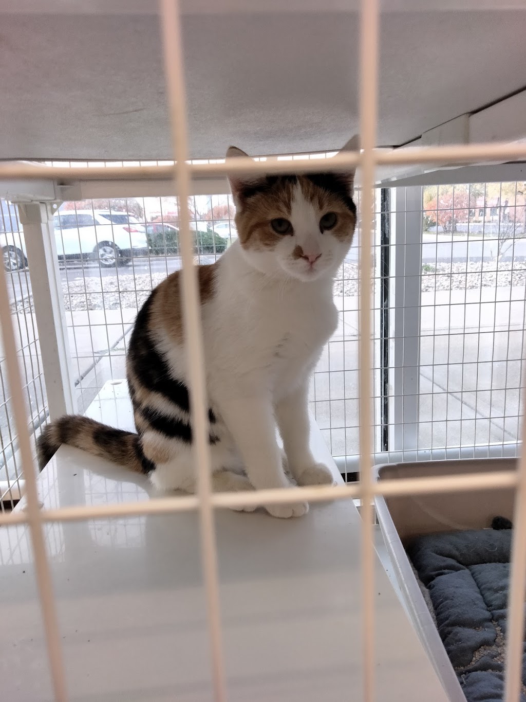 Pet Supplies Plus Lawrence 10625 Pendleton Pike, Indianapolis, IN