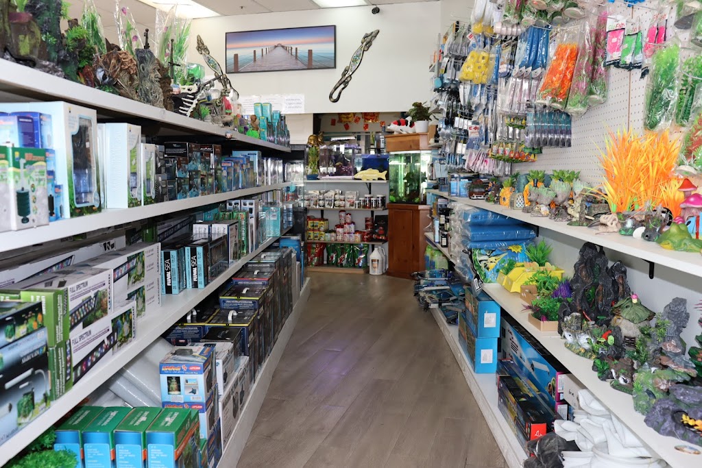 KMA Aquatic Pets | 2012 N Riverside Ave STE K, Rialto, CA 92377, USA | Phone: (909) 258-3139