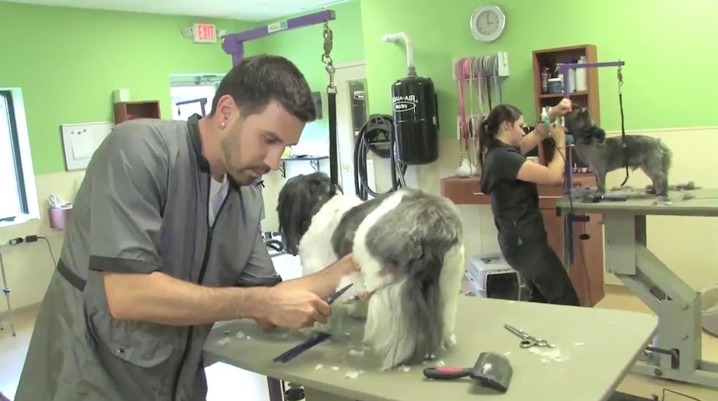 Pet Spas Pamper & Play | 1 Cerone Commercial Dr, Albany, NY 12205, USA | Phone: (518) 783-5506