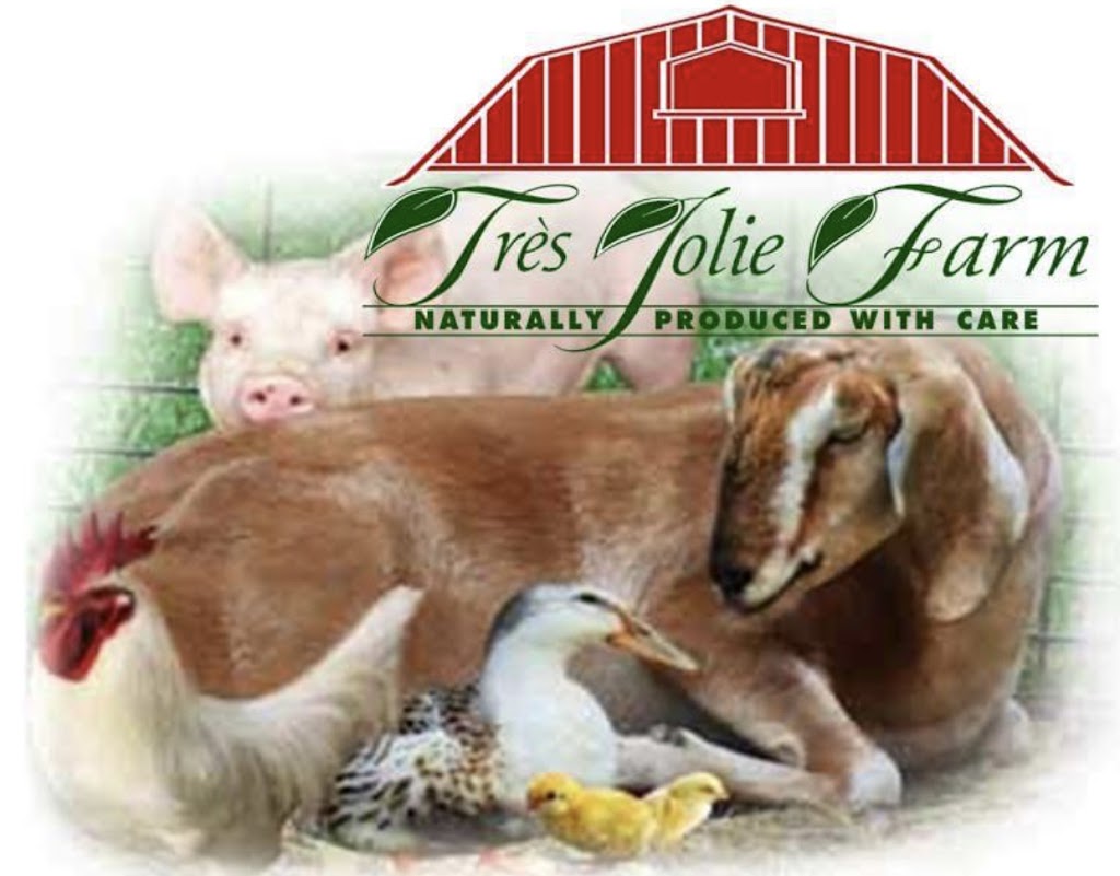 Très Jolie Farm Healing Retreat | 496 Decker Rd, Glen Spey, NY 12737, USA | Phone: (845) 858-6322