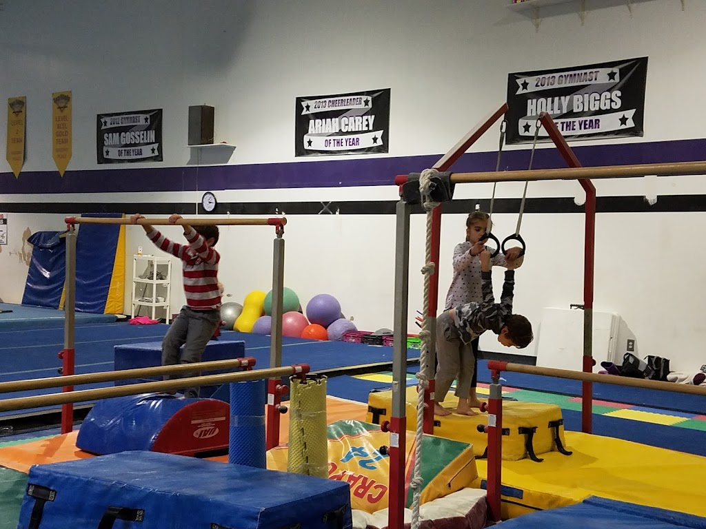 All Pro Gymnastics and Cheer Academy | 6685 Suite D, Santa Barbara Ct, Elkridge, MD 21075, USA | Phone: (410) 379-5439