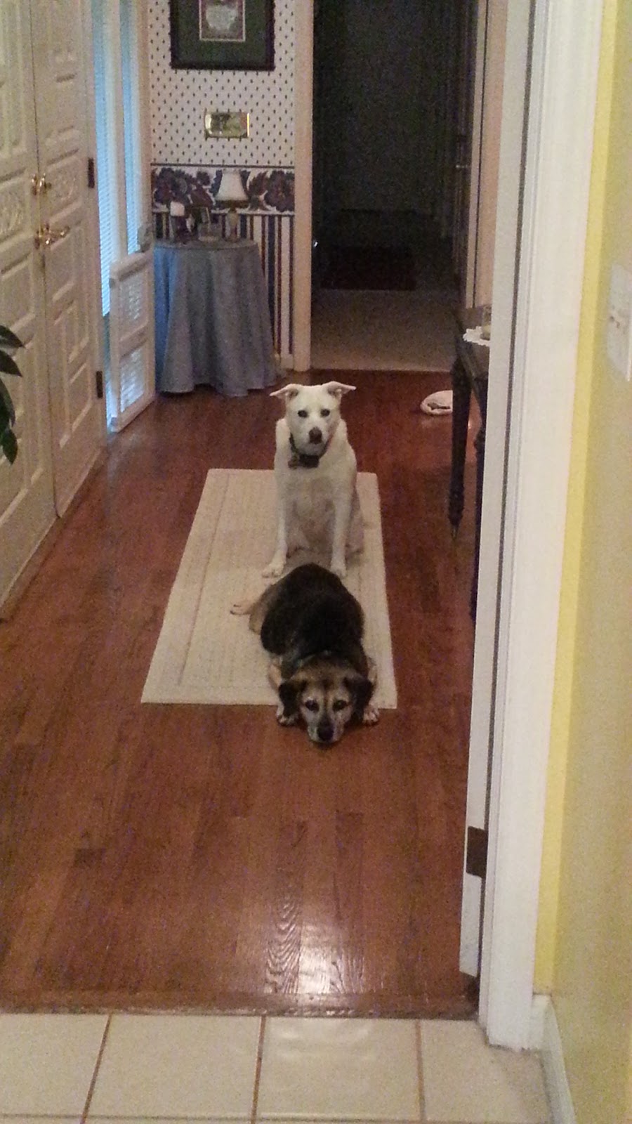 Casey Real Estate, Inc.: Kay Casey | 209 Nottingham Dr, Huntersville, NC 28078, USA | Phone: (704) 661-1533