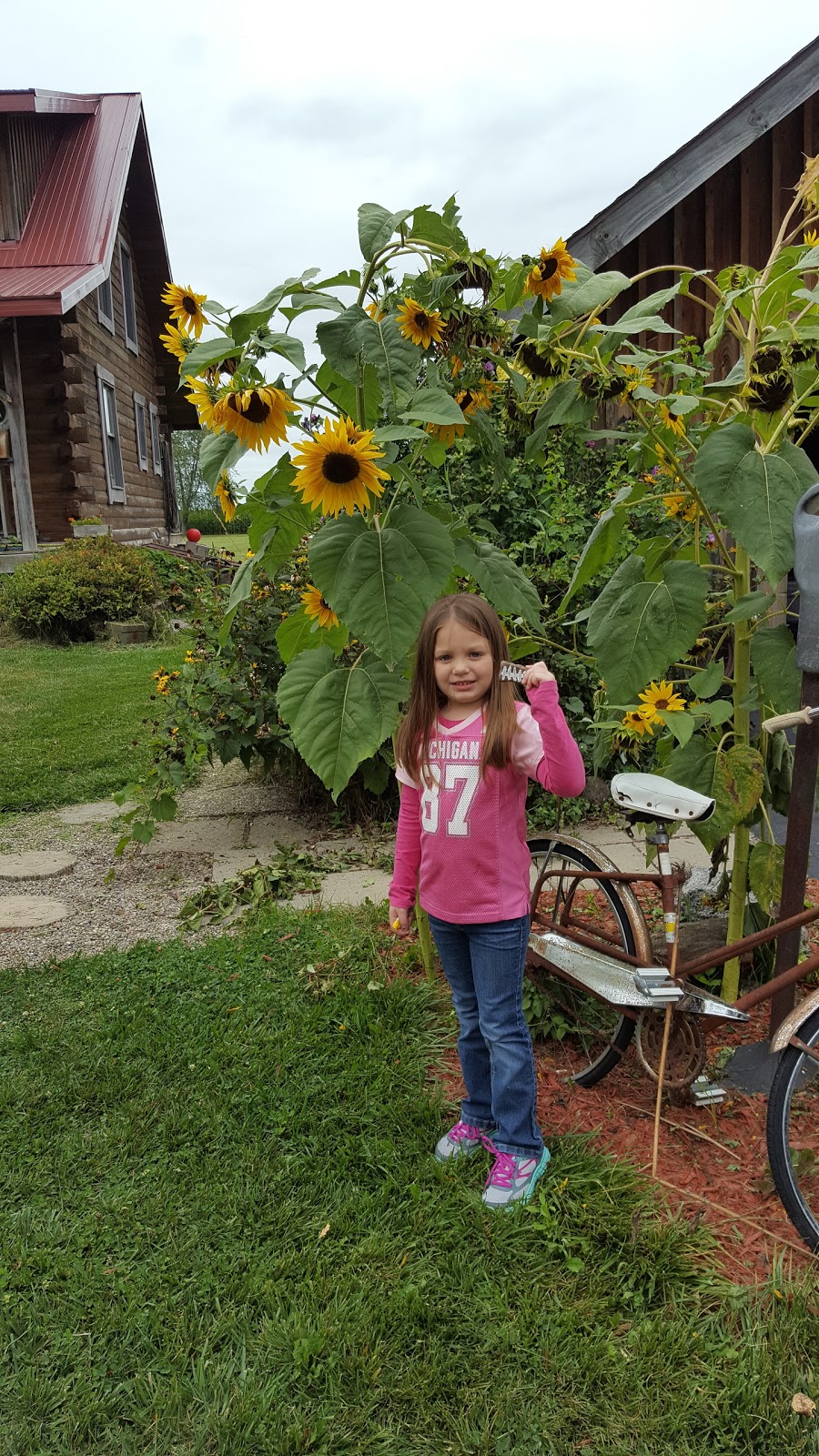 Coach Light Estates Mobile Home Park and Sales | 650 W Adrian St Lot 176, Blissfield, MI 49228, USA | Phone: (517) 486-3730