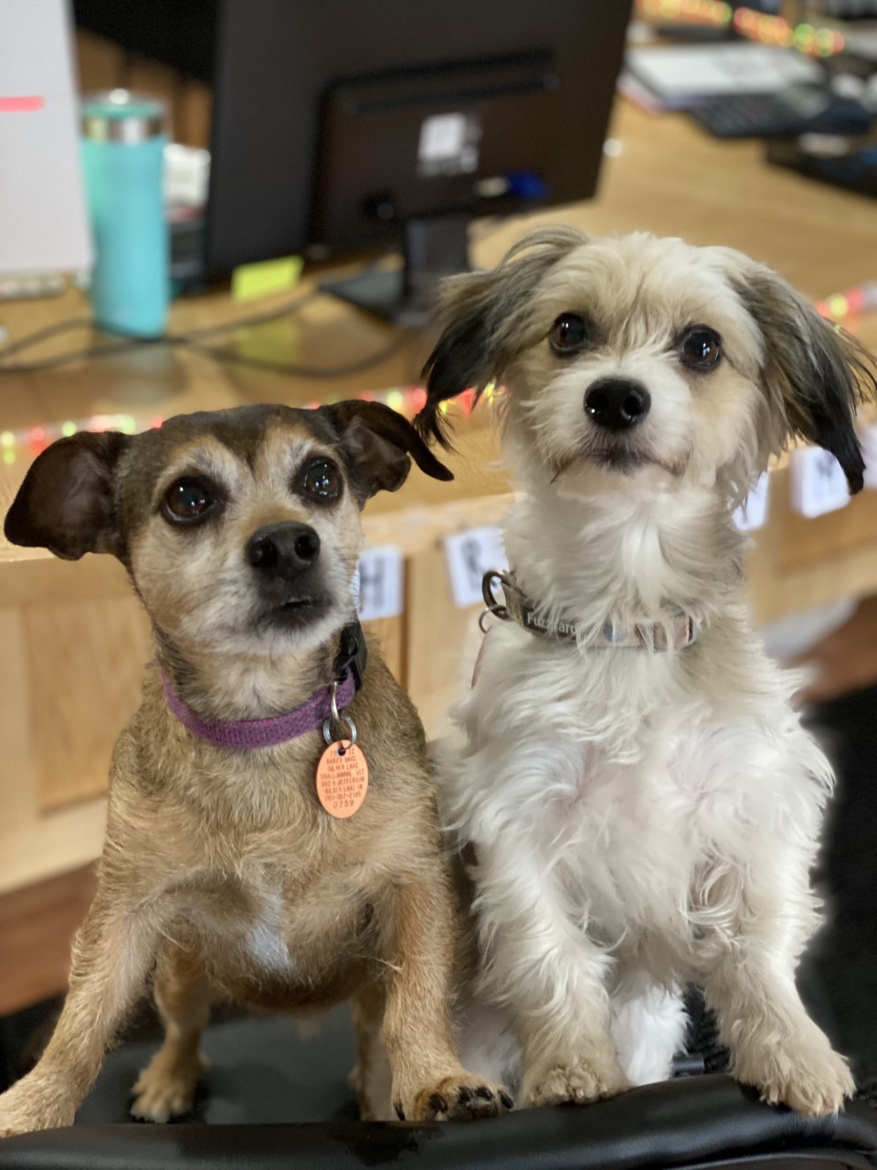 Affordable Storage | 808 Jefferson St, Silver Lake, IN 46982, USA | Phone: (574) 268-4608