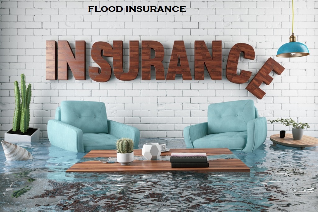 Thrive Insurance Agency | 1353 Fulton Ave, Sacramento, CA 95825, USA | Phone: (916) 339-6490
