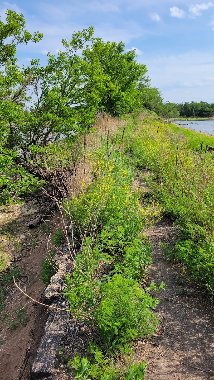 El Dorado wildlife area | W66J+2G, El Dorado, KS 67042, USA | Phone: (316) 322-7513