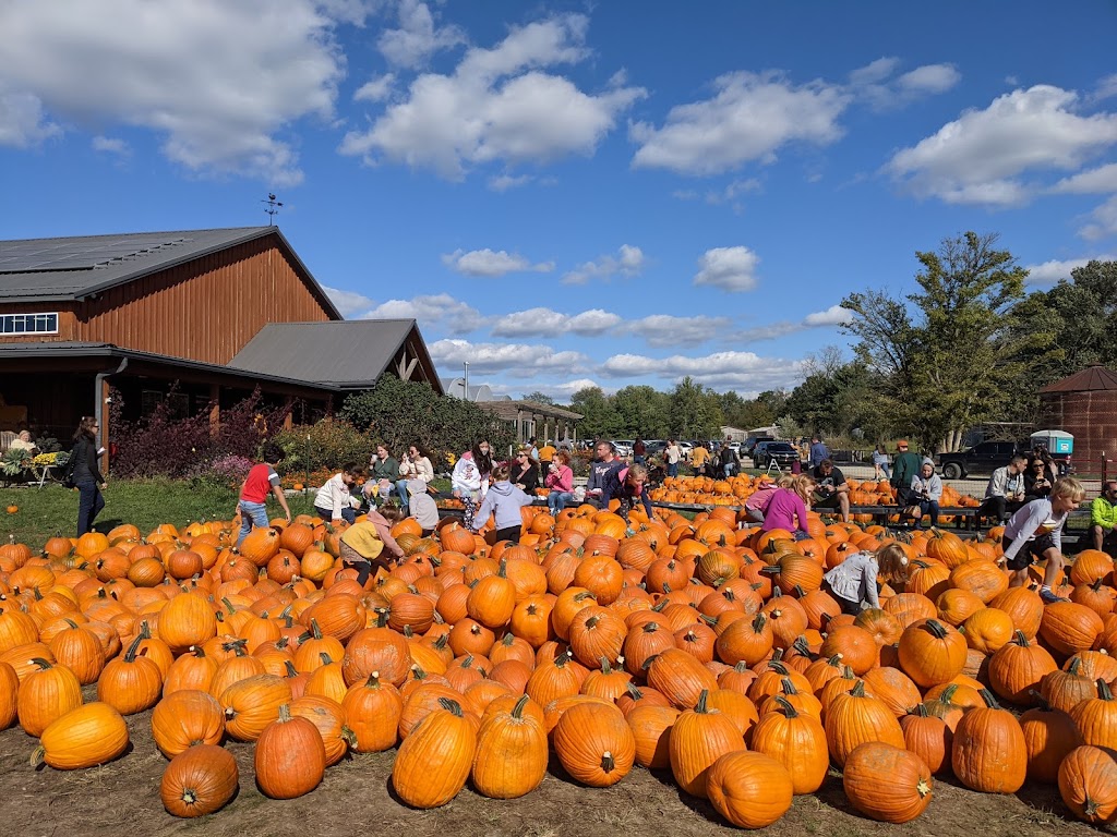 Blooms & Berries Farm Market | 9669 OH-48, Loveland, OH 45140, USA | Phone: (513) 697-9173