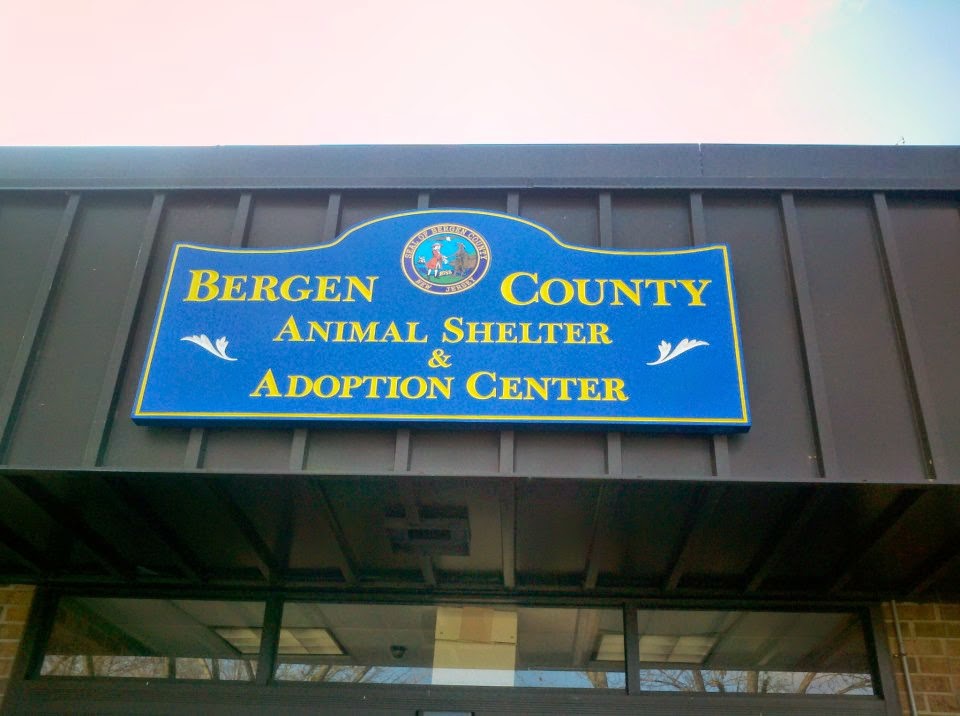 Bergen County Animal Shelter & Adoption Center | 100 United Ln, Teterboro, NJ 07608, USA | Phone: (201) 229-4600