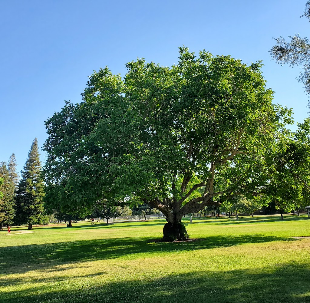 Gibbons Community Park | 4701 Gibbons Dr, Carmichael, CA 95608, USA | Phone: (916) 488-2810