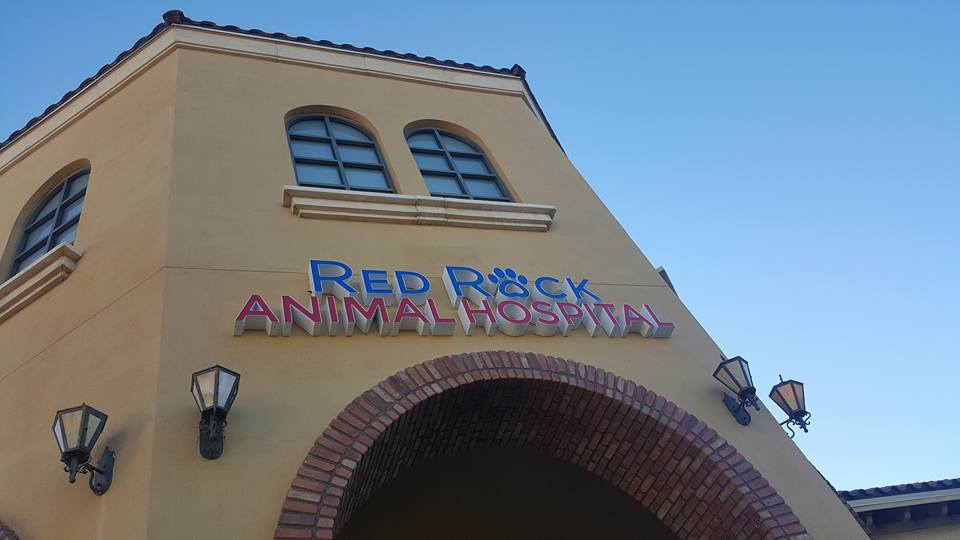 Red Rock Animal Hospital | 11700 W Charleston Blvd #110, Las Vegas, NV 89135, USA | Phone: (702) 254-2111