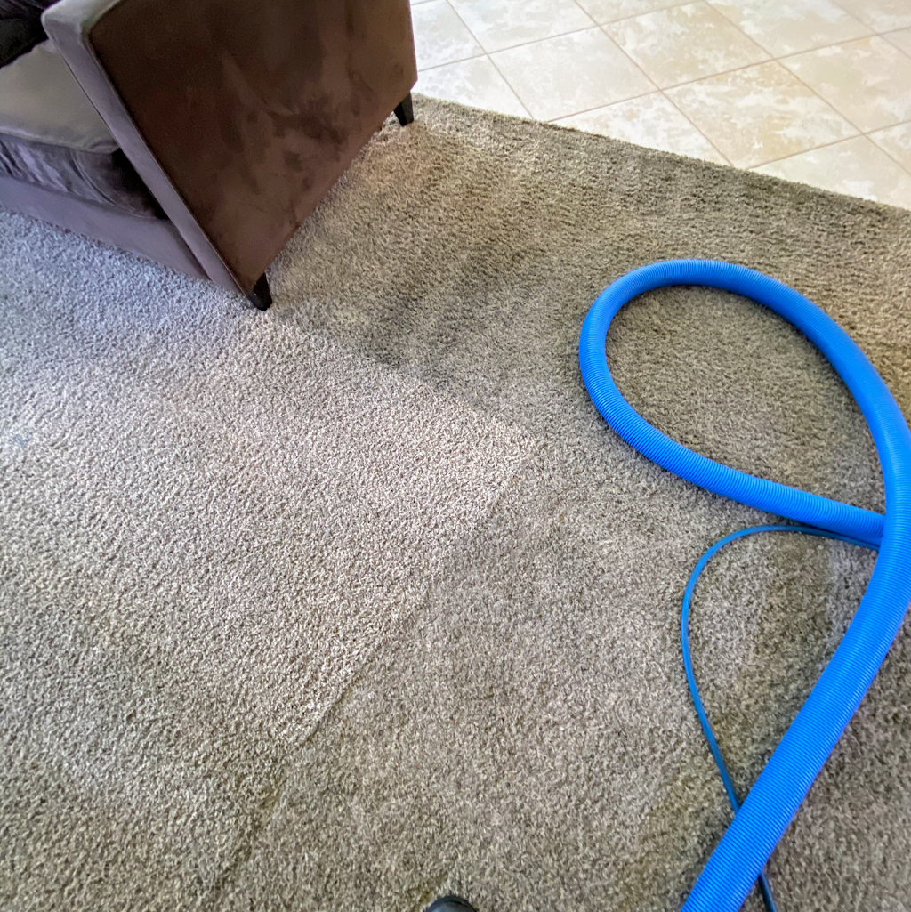 Adams Carpet Care Fontana Carpet Cleaning | Seminole Way, Fontana, CA 92336, USA | Phone: (909) 725-0016