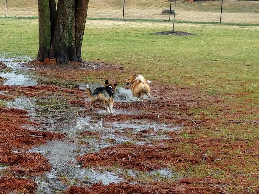 Rotary Dog Park (Member Only) | 110 N 6th St, Belleville, IL 62220 | Phone: (618) 233-1416