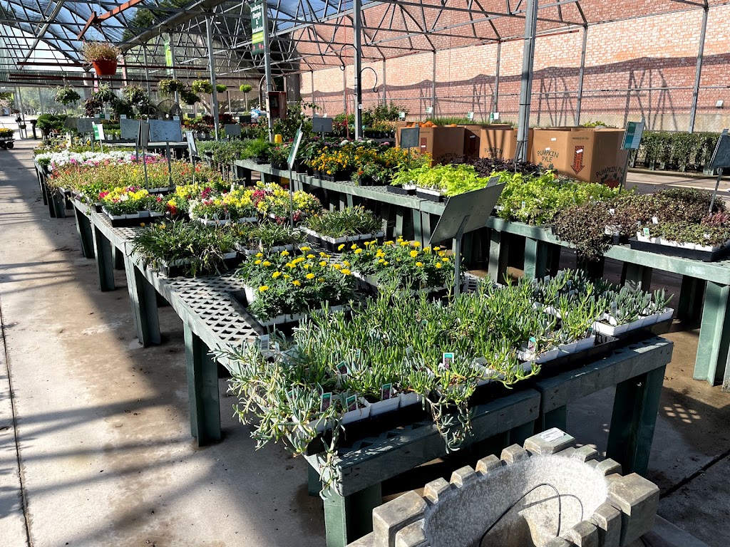 Calloways Nursery | 423 E Round Grove Rd, Lewisville, TX 75067, USA | Phone: (972) 315-3133