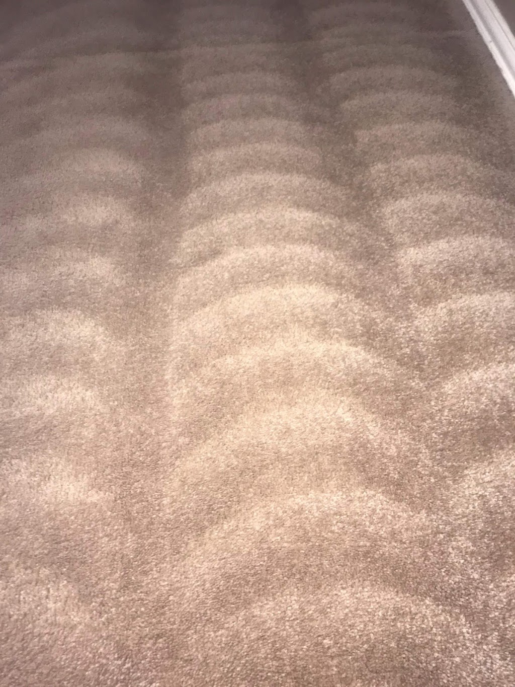 Infinity HD Carpet and Floor Cleaning LLC | 607 Betsy Ross Dr, Arlington, TX 76002, USA | Phone: (817) 676-4614