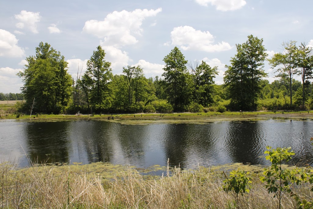 Indian Creek Wildlife Area | 4258 Snowhill Rd, Fayetteville, OH 45118, USA | Phone: (513) 875-2111