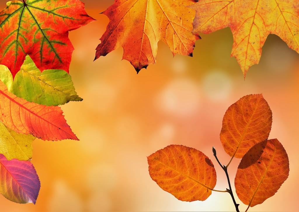 Hillside Village Hall | 425 N Hillside Ave, Hillside, IL 60162, USA | Phone: (708) 449-6450