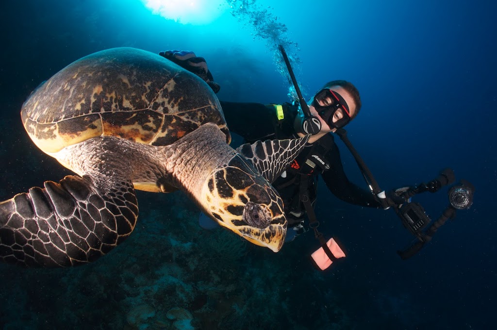 Learn Scuba With Paul | 2881 N Oakland Forest Dr #306, Oakland Park, FL 33309, USA | Phone: (954) 728-0837