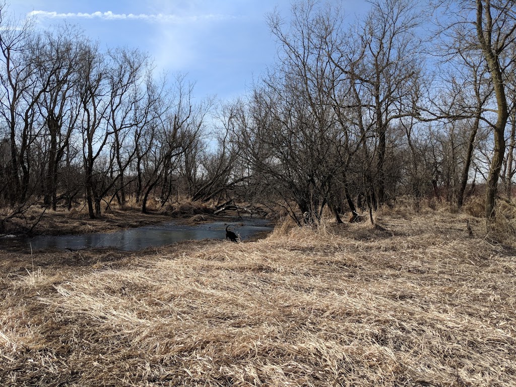 Cherokee Marsh State Fishery Area | Madison, WI 53704, USA | Phone: (608) 275-3225