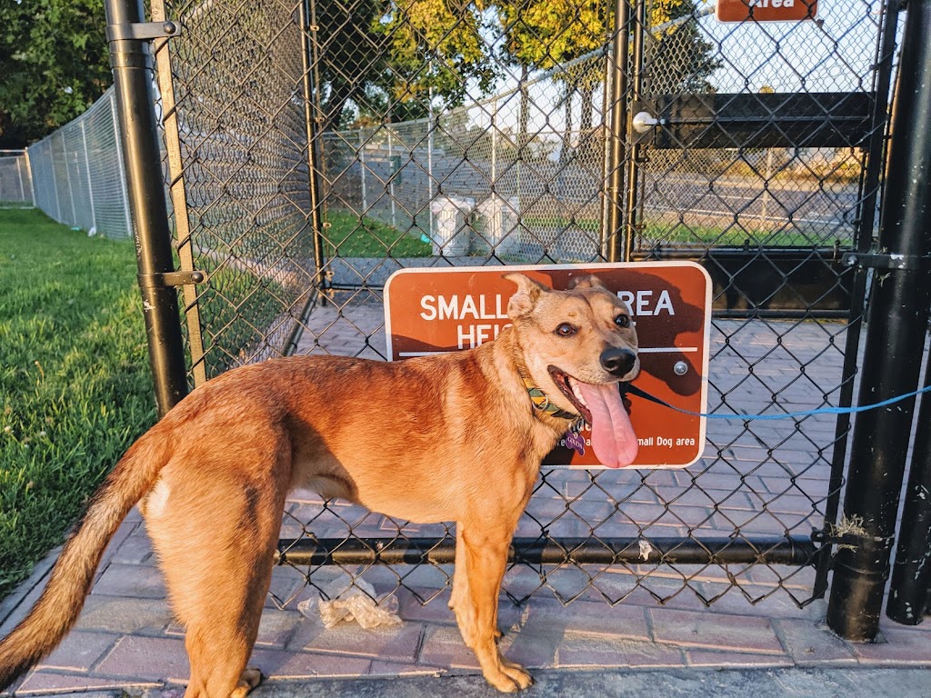 Larry J Marsalli Dog Park | 1425 Lafayette St, Santa Clara, CA 95050, USA | Phone: (408) 247-1988