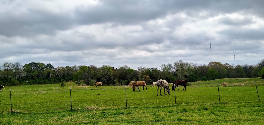 Shelby Farms Stables | N Pine Lake Dr, Cordova, TN 38018, USA | Phone: (901) 647-5793