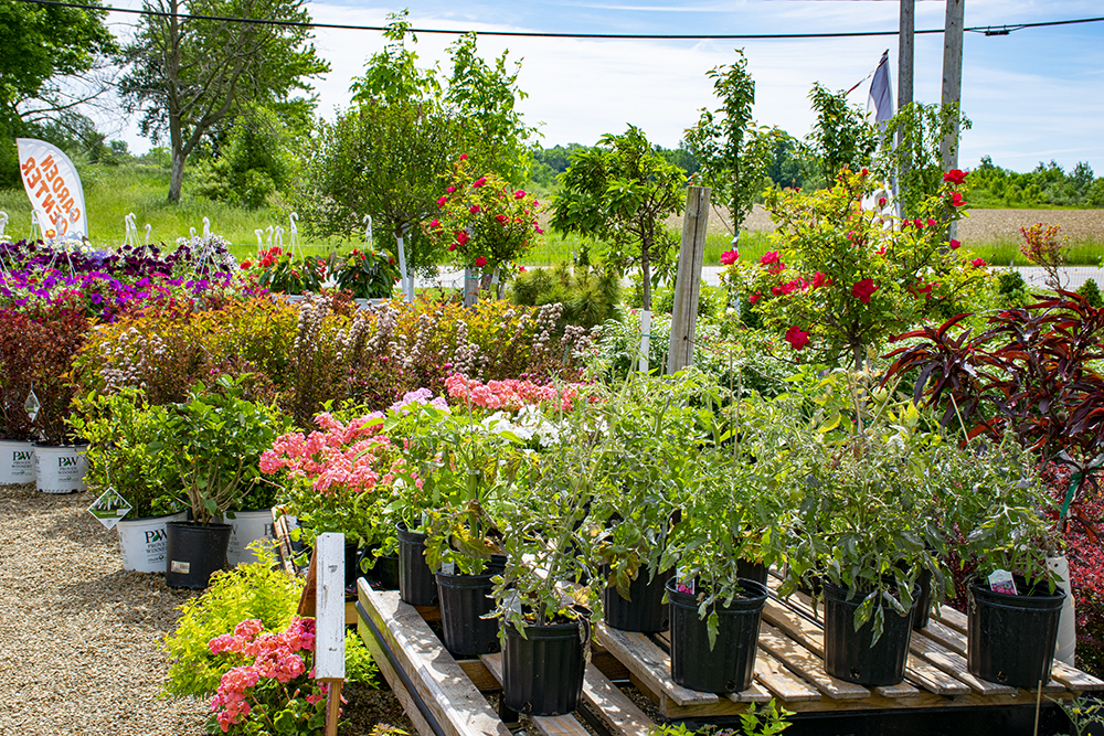 Candyapple Nursery & Landscaping | 1075 S Court St, Medina, OH 44256, USA | Phone: (330) 591-7009