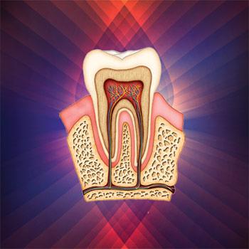 Ecologic Dentistry | 8412 Myers Rd E # 301, Bonney Lake, WA 98391, USA | Phone: (253) 863-7005