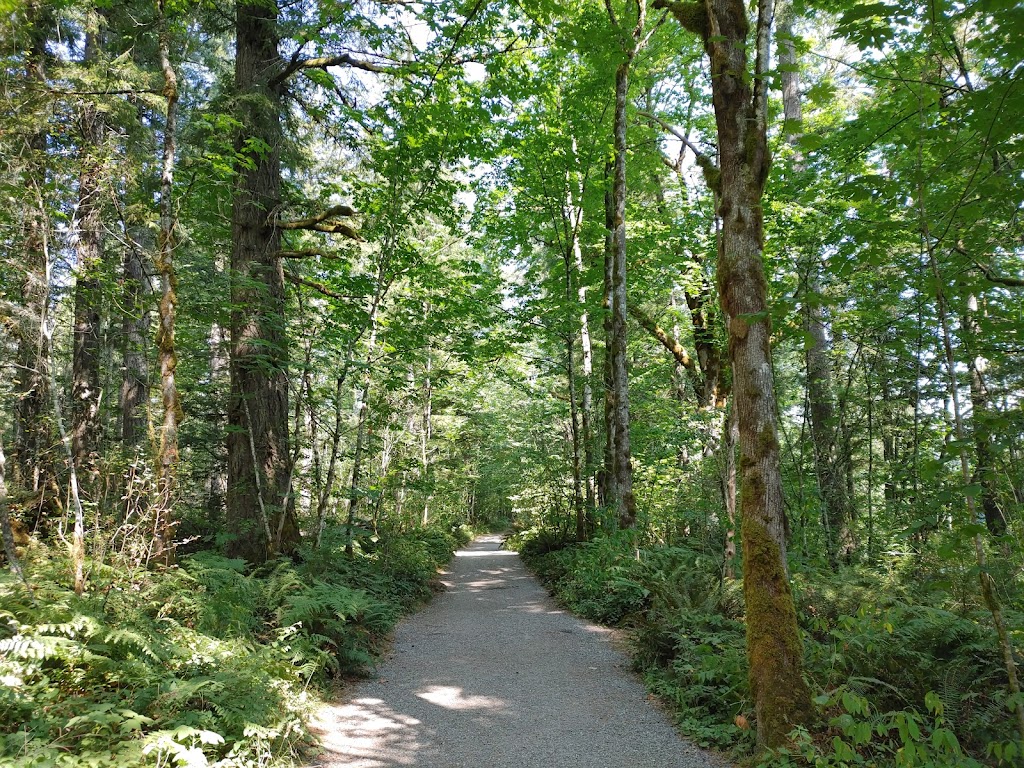 Nolte State Park | 36921 Veazie Cumberland Rd SE, Enumclaw, WA 98022, USA | Phone: (360) 825-4646