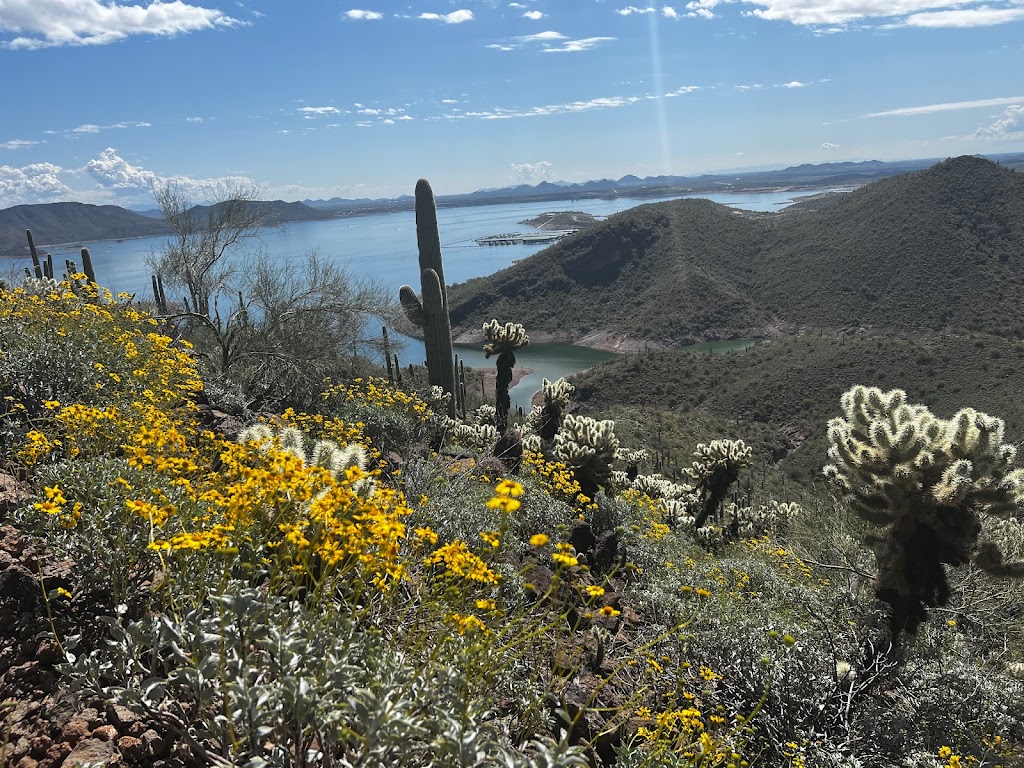 Yavapai Point Trailhead | 45602 Cottonwood Ln, Yarnell, AZ 85362, USA | Phone: (928) 501-1710