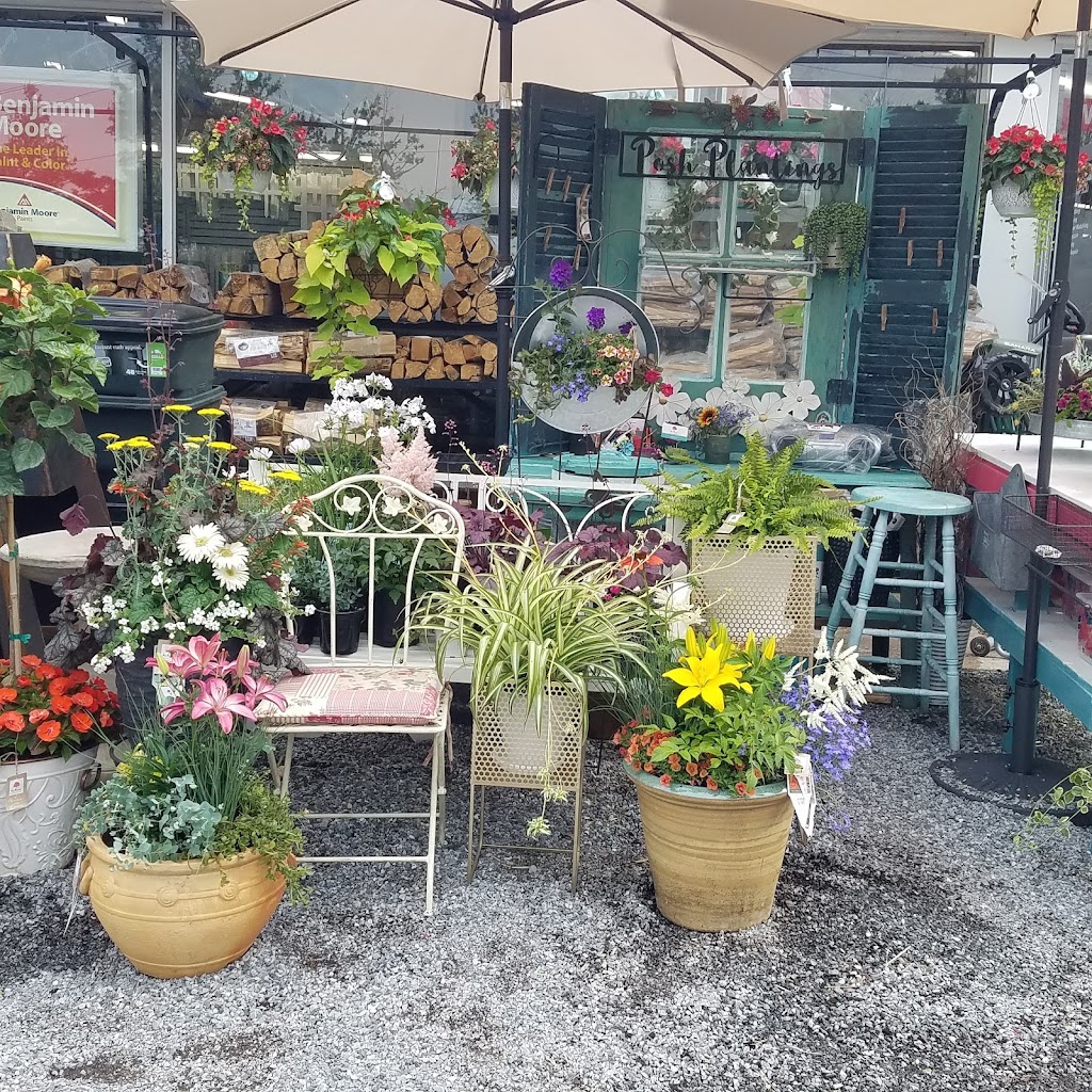 Posh Plantings | At Ace Hardware, 720 Strasburg Rd of, West Chester, PA 19380, USA | Phone: (484) 318-5992