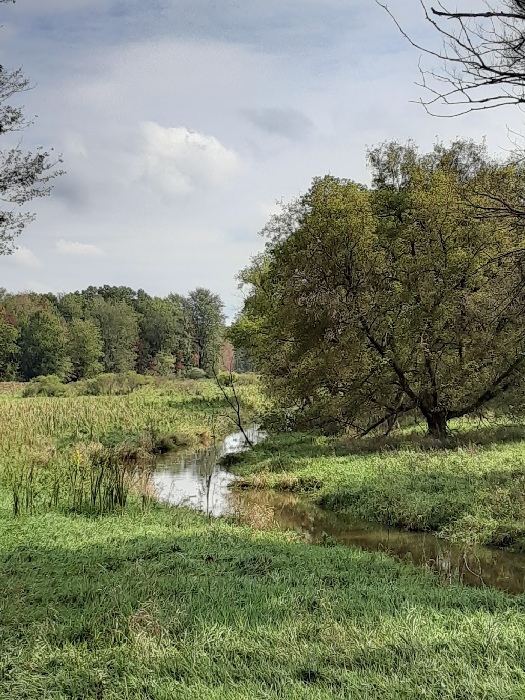 Ropchan Wildlife Refuge - ACRES Land Trust | 4990 N, IN-827, Fremont, IN 46737, USA | Phone: (260) 637-2273