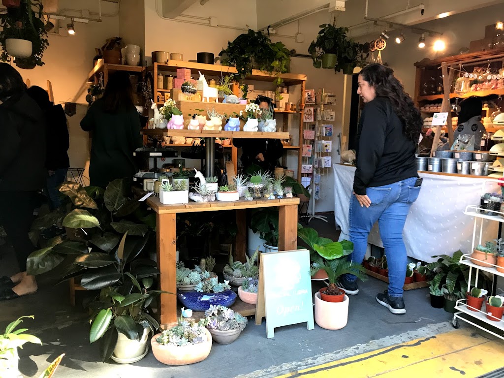 Fractal Flora | 1461 Park Ave, San Jose, CA 95126, USA | Phone: (650) 314-9853