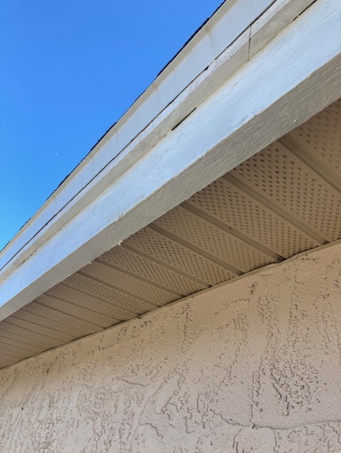 Cardinal Roofing | 1312 Orangewalk Dr, Brandon, FL 33511, USA | Phone: (813) 689-7663