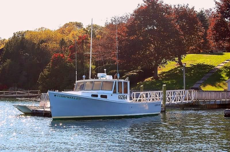 Connemara Bay Fishing Charters | 47 Crafts Road, Gloucester, MA 01930, USA | Phone: (978) 283-0197