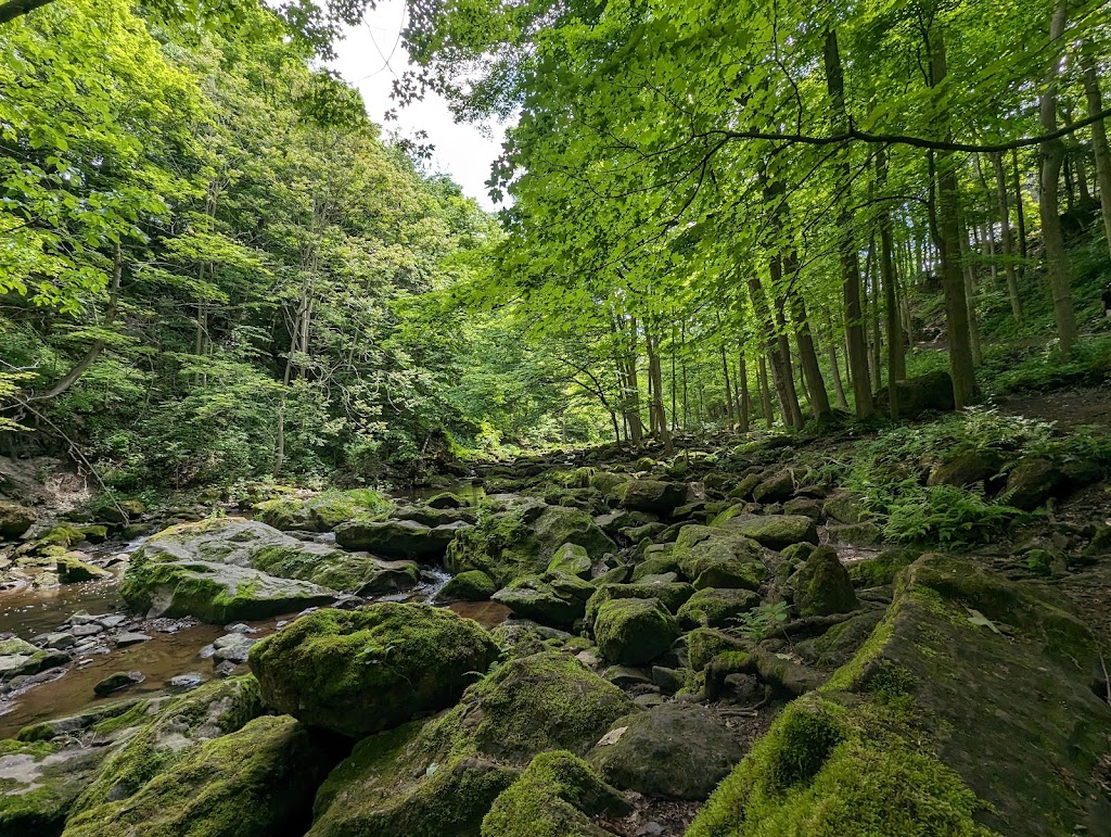 Akron Falls Park | 44 Parkview Dr, Akron, NY 14001, USA | Phone: (716) 542-2330