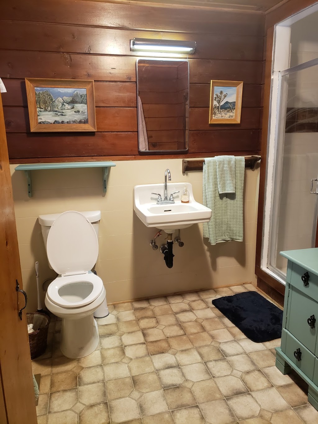 Brill Bear Cabin | 121 E Starr Dr, Big Bear, CA 92314, USA | Phone: (310) 488-3695