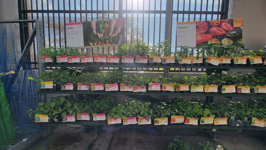 Walmart Garden Center | 1485 Commercial Way, Spring Hill, FL 34606 | Phone: (352) 686-0744