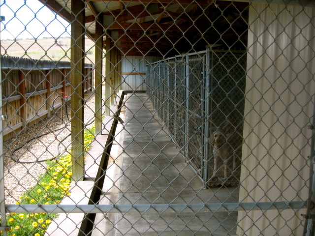 Fetch This Kennels | 10465 Stone Quarry Rd, Payette, ID 83661 | Phone: (208) 642-4245