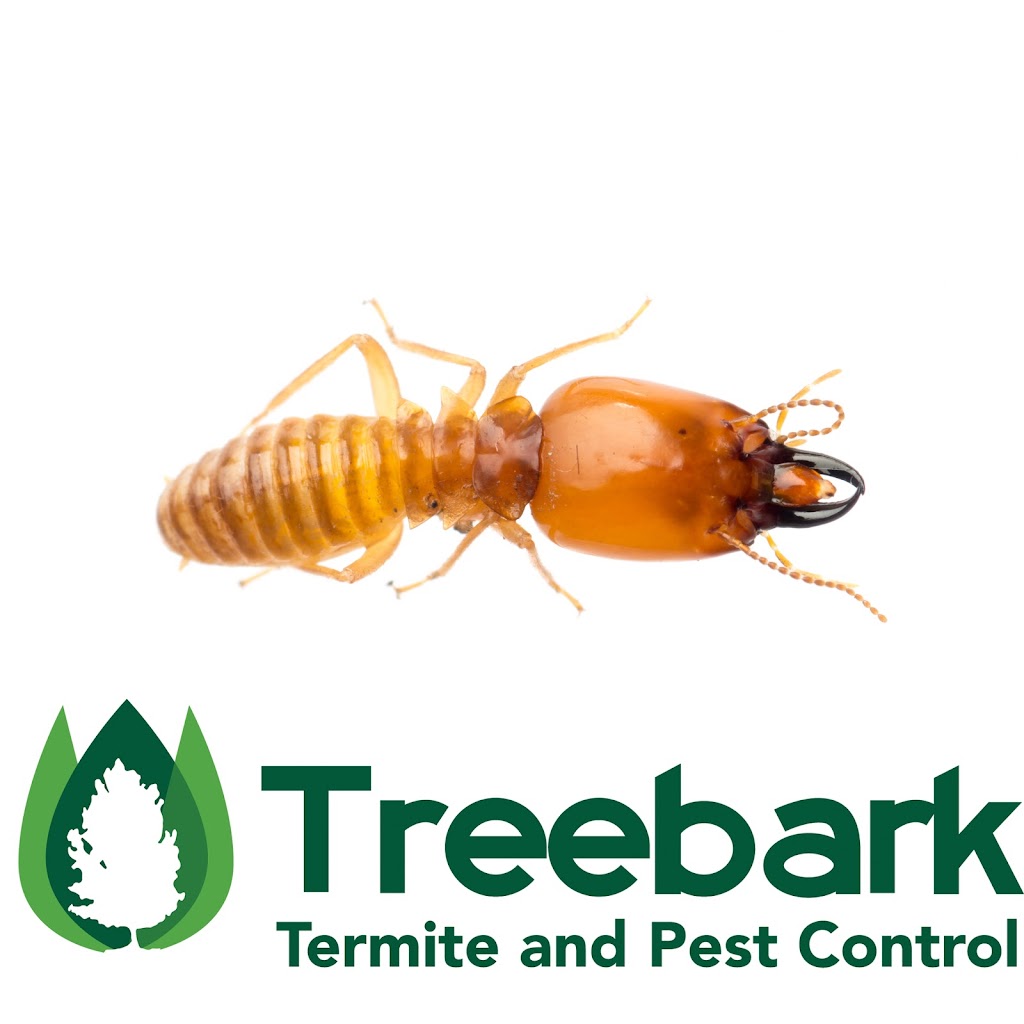 Treebark Termite and Pest Control | 9778 Katella Ave #210, Anaheim, CA 92804, USA | Phone: (714) 406-4919