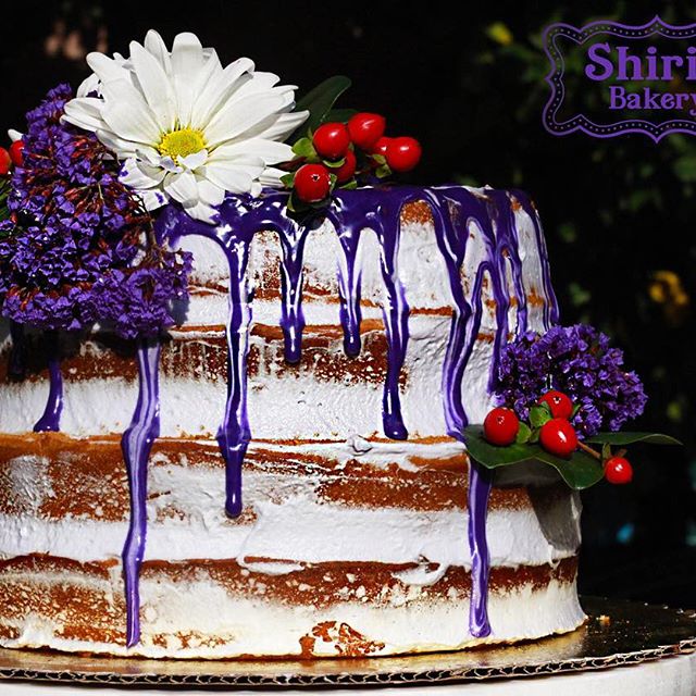 Shirin Bakery | 19505 Ventura Blvd, Tarzana, CA 91356, USA | Phone: (818) 482-2062