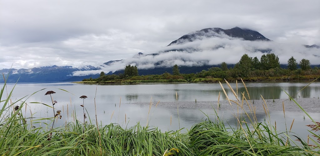 Bull Elk Exhibit | 43520 Seward Hwy, Girdwood, AK 99587, USA | Phone: (907) 783-0058