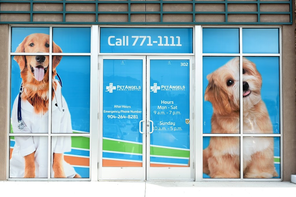 Pet Angels Animal Hospital | 7067 Collins Rd #302, Jacksonville, FL 32244, USA | Phone: (904) 771-1111