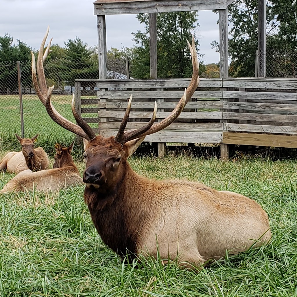 Native Hoofed Animal Enclosure | Lees Summit, MO 64064, USA | Phone: (816) 503-4800