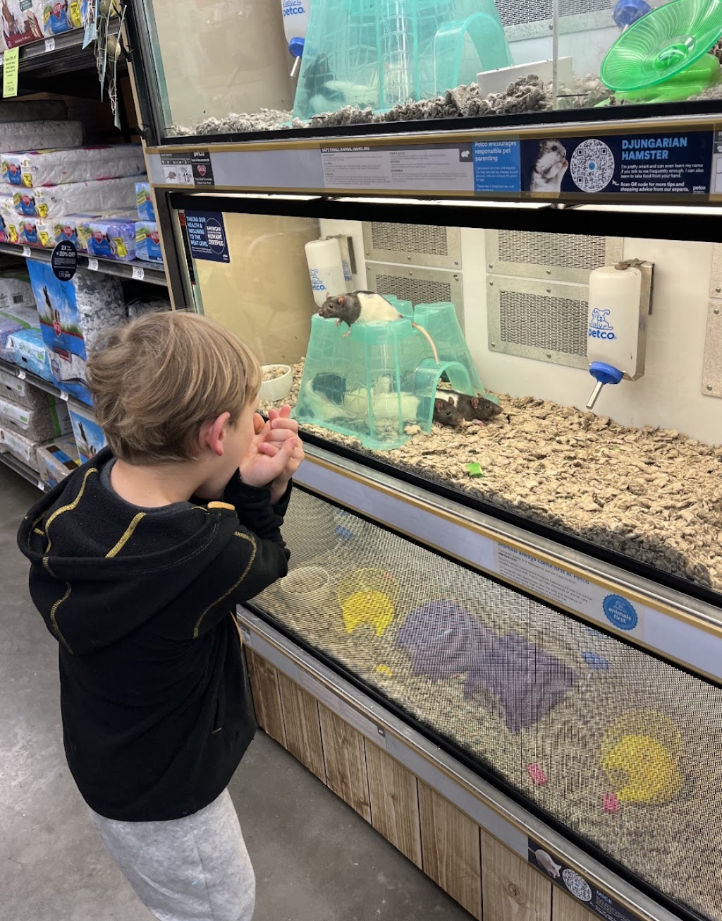 Petco | 4600 Casey Blvd #100, Williamsburg, VA 23188, USA | Phone: (757) 259-1980