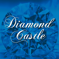 Diamond Castle | 355 US-9, Manalapan Township, NJ 07726, USA | Phone: (732) 617-2168