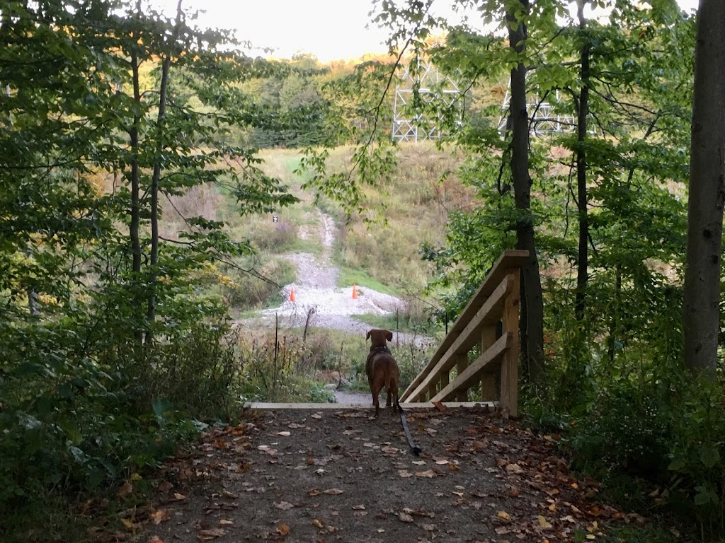 Holbrook Hollows | 7250 Country Ln, Chagrin Falls, OH 44023, USA | Phone: (440) 286-9516 Holbrook Hollows | 7250 Country Ln, Chagrin Falls, OH 44023, USA | Phone: (440) 286-9516