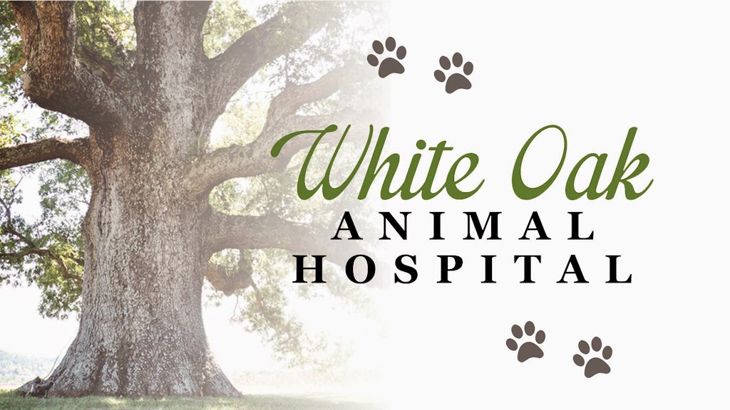 White Oak Animal Hospital - Clinic & Holistic Telemedicine | 1341 Fairview Blvd, Fairview, TN 37062 | Phone: (615) 799-7981