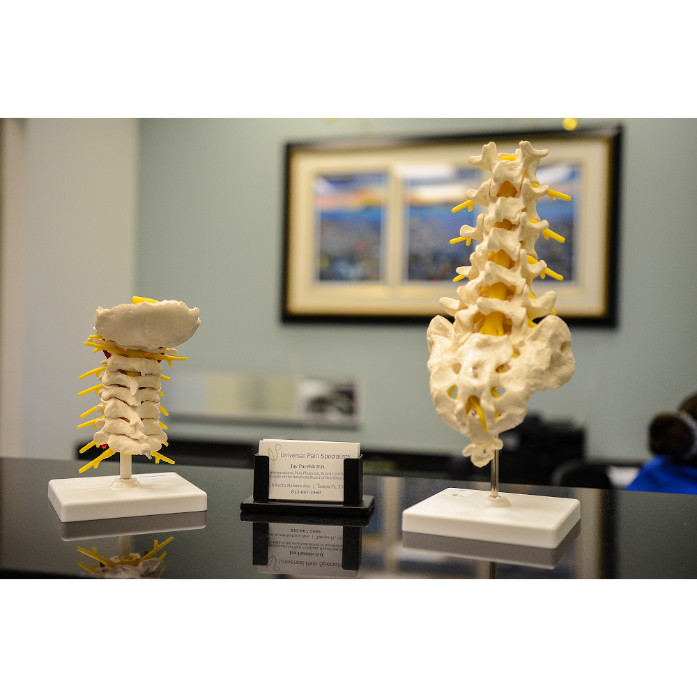 Universal Spine & Joint Specialists | 8318 N Habana Ave #101, Tampa, FL 33614, USA | Phone: (813) 667-2460